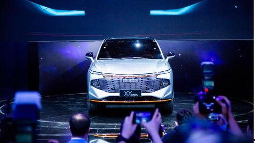 哈佛最新爆料新闻视频,最新爆料新闻视频深度解析